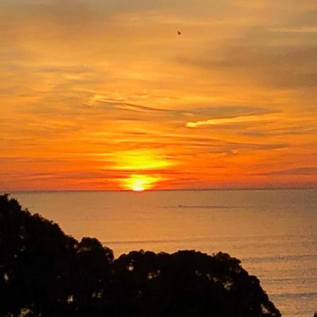 Quinta Barracuda Albufeira Appartement Buitenkant foto